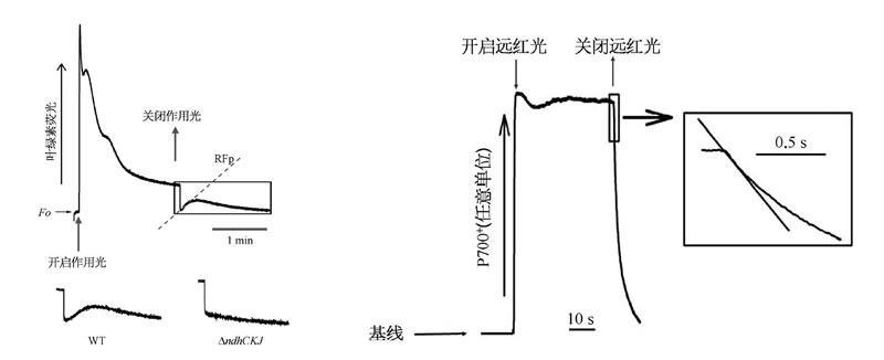 圖525022801.jpg